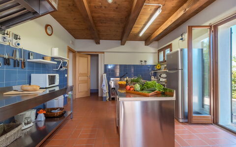 Casale Verdicchio 10+2: Legna, Pavimentazione, Cucina, Mobilia, Interior Design, Soffitto, Controsoffitto, Casa, Pavimento, Illuminazione