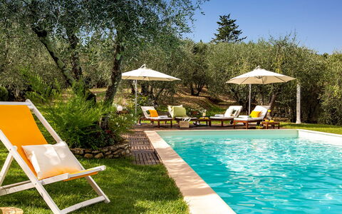 Villa Il Colle di Moriano 8: Mobilia, Mobili Da Esterno, Piscina, Ricorrere, Lettino, Sedia, Eco Hotel, Shade, Giardino, Backyard