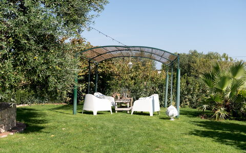 Trulli Littoria 4: Giardino, Arbusto, Shade, Gazebo, Struttura Esterna, Padiglione, Landscaping, Baldacchino, Backyard, Prato
