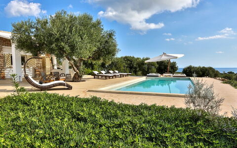 Villa Pajare Francesi 8+2: Casa, Estate, Giardino, Shade, Villa, Landscaping, Hacienda, Agriturismo, Ricorrere, Dimora