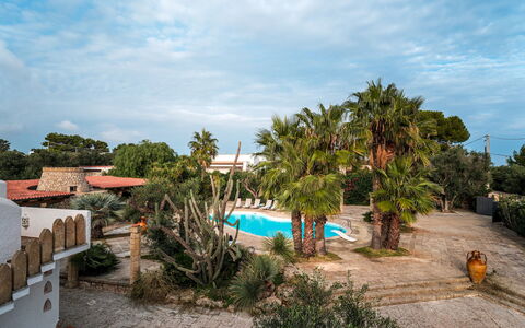 Villa Manco 12: Albero, Ricorrere, Shade, Eco Hotel, Mobili Da Esterno, Hacienda, Landscaping, Estate, Tropici