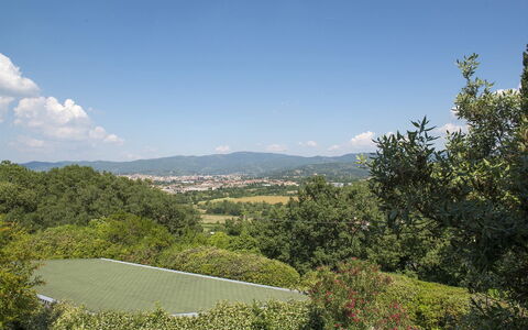 Il Vignale 18+2: Cielo, Geografia Montane, Verde, Natura, Albero, Ambiente Naturale, Foglia, Collina, Vegetazione, Montagna