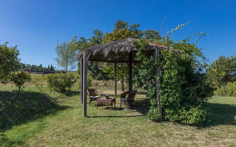 Villa Palazzaccio 26: Arbusto, Giardino, Shade, Struttura Esterna, Gazebo, Pergola, Landscaping, Padiglione, Piantagione