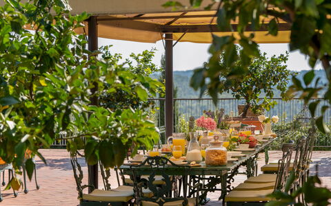 Villa Beltrami 14: Mobilia, Tavolo, Mobili Da Esterno, Sedia, Tavolo Esterno, Shade, Primavera, Eco Hotel, Vaso Di Fiori, Giardino