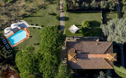 Villa Beltrami 14: Albero, Paesaggio, Zona Residenziale, Estate, Lotto, Giardino, Piscina, Prato, Landscaping, Hacienda