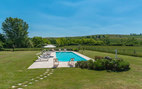 Alborata 10: Albero, Piscina, Giardino, Prato, Landscaping, Estate, Prato, Mobili Da Esterno, Shade, Piantagione