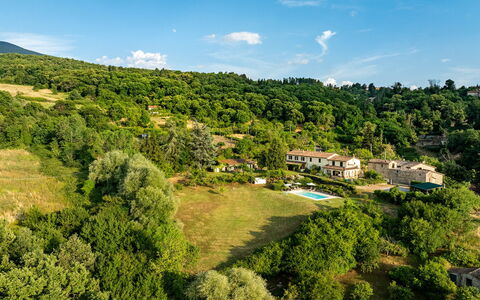 Casale le Conce 6: Albero, Vegetazione, Area Rurale, Estate, Foresta, Hill Station, Prato, Eco Hotel, Pascolo, Piantagione