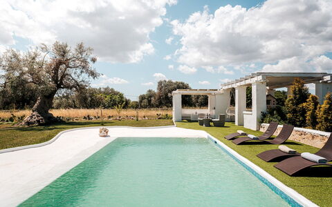White Stone House 6+1: Piscina, Estate, Giardino, Prato, Landscaping, Shade, Hacienda, Villa, Backyard, Cortile