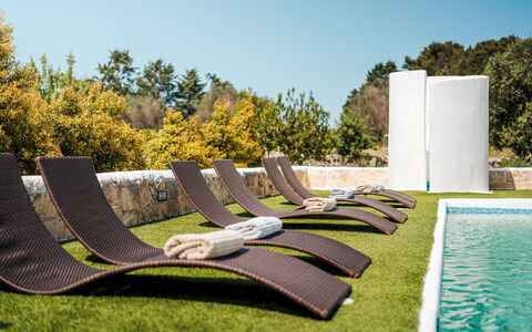 White Stone House 6+1: Mobili Da Esterno, Shade, Giardino, Landscaping, Prato, Lettino, Design, Sedia A Sdraio, Parco, Piscina