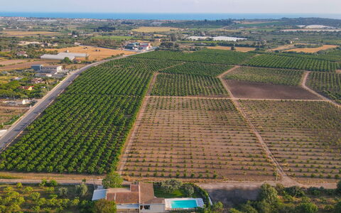 Il Giardino dei Limoni 8: Visione Globale, Agricoltura, Campo, Paesaggio, Piantagione, Plain, Lotto, Fotografia Aerea, Ritaglia, Azienda Agricola
