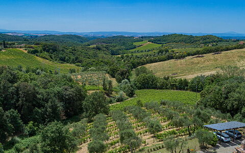 Villa Santa Maria 14: Vegetazione, Paesaggio Naturale, Paesaggio, Area Rurale, Piantagione, Highland, Lotto, Agricoltura, Comunita 'Impianto, Campo