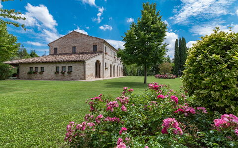 Villa Ambrah 12+1: Erba, Albero, Arbusto, Paesaggio, Giardino, Plain, Prato, Estate, Cortile