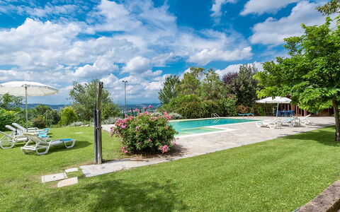 Villa Ambrah 12+1: Piscina, Giardino, Ricorrere, Mobili Da Esterno, Eco Hotel, Landscaping, Resort Citta ', Parco, Lettino, Villa