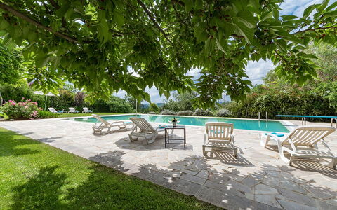 Villa Ambrah 12+1: Piscina, Mobili Da Esterno, Giardino, Shade, Ricorrere, Sedia, Flagstone, Eco Hotel, Landscaping, Backyard