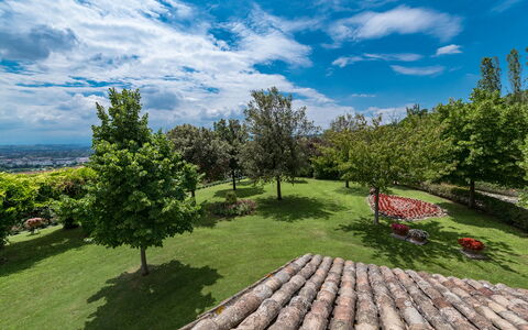 Villa Ambrah 12+1: Cielo, Albero, Erba, Natura, Verde, Vegetazione, Paesaggio, Arbusto, Nube, Lotto