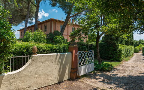 Villa delle Sophore 12: Arbusto, Zona Residenziale, Casa, Casa, Estate, Giardino, Landscaping, Hacienda, Cortile, Shade