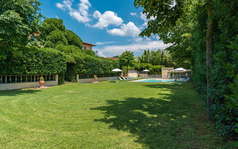 Villa delle Sophore 12: Piscina, Arbusto, Giardino, Prato, Shade, Estate, Landscaping, Cortile, Backyard, Hedge
