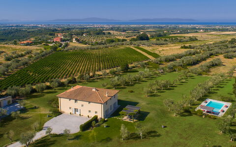 Villa Il Meluccio 12: Erba, Plain, Paesaggio, Pascolo, Area Rurale, Lotto, Campo, Piantagione, Estate, Prato