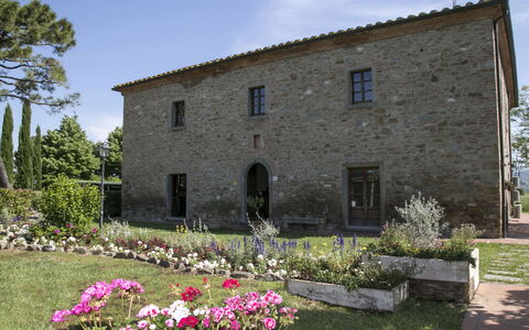 Le Caselle 26: Arbusto, Casa, Casa, Lotto, Villetta, Estate, Agriturismo, Porta, Giardino