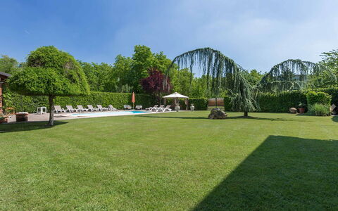 Villa Miki 10: Albero, Erba, Arbusto, Giardino, Piscina, Lotto, Tempo Libero, Prato, Shade, Landscaping
