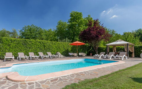 Villa Miki 10: Piscina, Mobili Da Esterno, Mobilia, Ricorrere, Giardino, Tempo Libero, Eco Hotel, Shade, Landscaping, Lettino