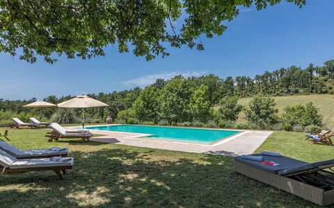 Casale Piattini 10: Giardino, Prato, Landscaping, Piscina, Prato, Estate, Piantagione, Parco, Mobili Da Esterno, Agriturismo