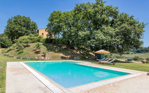 Casale Piattini 10: Piscina, Giardino, Estate, Agriturismo, Landscaping, Prato, Hacienda, Backyard, Shade, Cortile