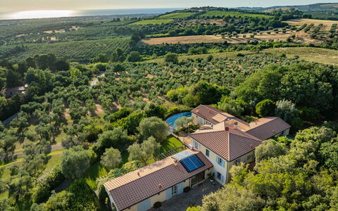 Villa le Cave 12: Estate, Area Rurale, Lotto, Estate, Prato, Piantagione, Giardino, Pascolo, Landscaping