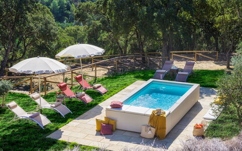 Villa Zaca 6: Piscina, Ricorrere, Mobili Da Esterno, Tempo Libero, Giardino, Backyard, Eco Hotel, Ombrello, Landscaping