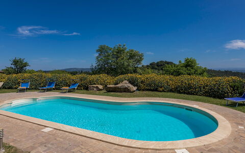 Podere San Ansano 14+2: Blu, Piscina, Ricorrere, Mobili Da Esterno, Eco Hotel, Hacienda, Landscaping, Estate, Shade, Agriturismo