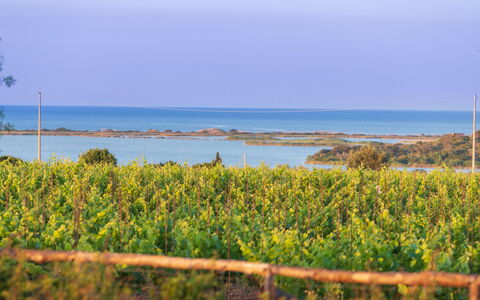 Villa Passo degli Aironi 12: Blu, Orizzonte, Costiera E Morfologie Oceanic, Mare, Costa, Oceano, Piantagione, Riva, Campo, Shrubland