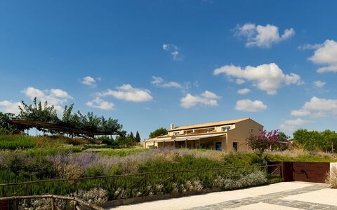 Villa Majoli 9: Arbusto, Paesaggio, Lotto, Comunita 'Impianto, Area Rurale, Estate, Agriturismo, Landscaping, Shrubland