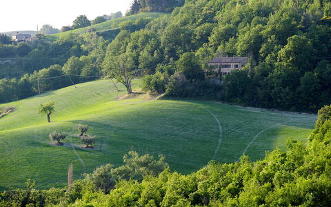 Casa Melograno 11+2: Verde, Erba, Albero, Ambiente Naturale, Natura, Vegetazione, Paesaggio Naturale, Pascolo, Paesaggio, Plain