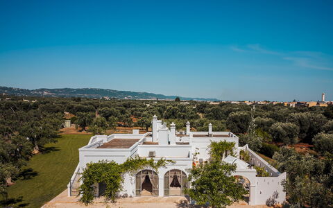 La Torre di Monsignore 12: Architettura, Paesaggio, Estate, Hacienda, Dimora, Landscaping, Villa, Driveway, Casa Storica, Arcade