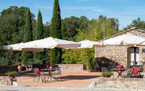 Borgo Gallinaio 32: Shade, Mobili Da Esterno, Ombrello, Giardino, Tavolo Esterno, Sedia, Landscaping, Struttura Esterna, Cortile, Vaso Di Fiori