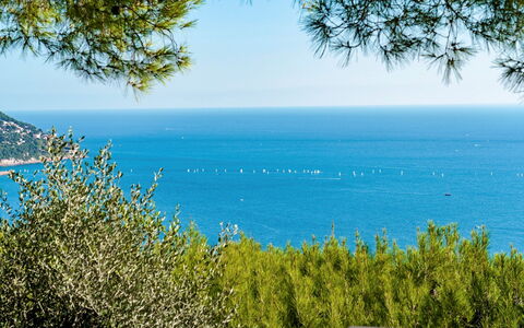 Villa nel Blu 8: Blu, Acqua, Verde, Foglia, Vegetazione, Mare, Orizzonte, Costiera E Morfologie Oceanic, Oceano, Costa
