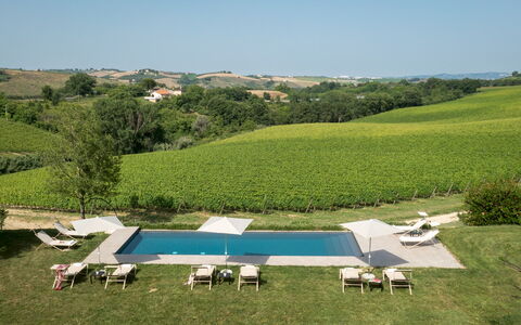 La Casa nei Vigneti 10: Piscina, Lettino, Ricorrere, Mobili Da Esterno, Ombrello, Estate, Tempo Libero, Eco Hotel, Villa, Landscaping