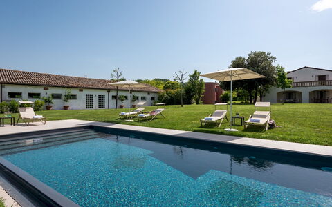 La Casa nei Vigneti 10: Piscina, Estate, Giardino, Hacienda, Landscaping, Villa, Agriturismo, Cortile, Prato, Shade