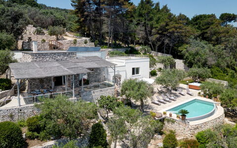 Villa Soleluna 7+1: Albero, Casa, Casa, Estate, Villetta, Landscaping, Eco Hotel, Villa, Ricorrere