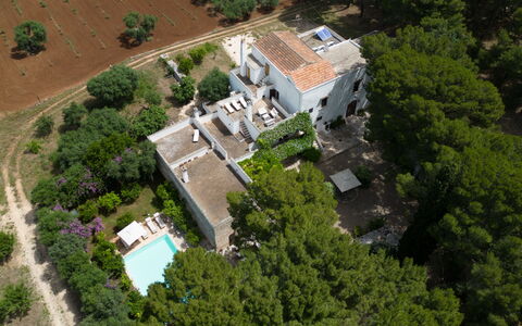 Masseria Tarsia Incuria 8+4: Albero, Zona Residenziale, Casa, Estate, Visione Globale, Insediamento Umano, Fotografia Aerea, Sobborgo, Design, Villa