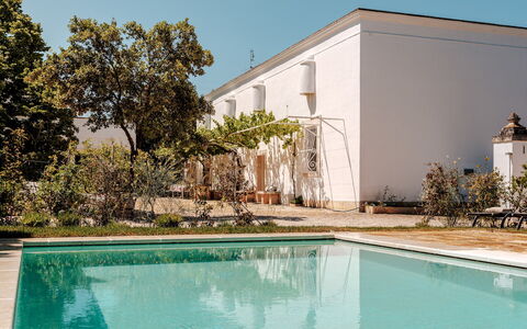 Masseria Profilo 8: Estate, Giardino, Shade, Piscina, Hacienda, Cortile, Landscaping, Backyard, Cortile, Villa
