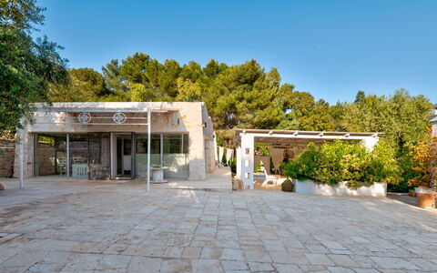 Pigreco 6+2: Albero, Shade, Estate, Driveway, Calcestruzzo, Landscaping, Cortile, Hacienda, Flagstone, Villa