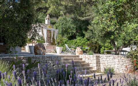 Pigreco 6+2: Arbusto, Giardino, Landscaping, Backyard, Giardino Botanico, Cortile, Vaso Di Fiori