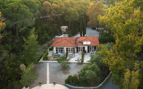Villa Laconella 8+4: Albero, Casa, Paesaggio, Zona Residenziale, Casa, Arbusto, Area Rurale, Tetto, Villetta, Estate