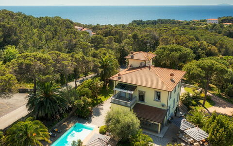 Villa Gaius 8+2: Blu, Zona Residenziale, Ricorrere, Eco Hotel, Estate, Balcone, Piscina, Tropici, Villa