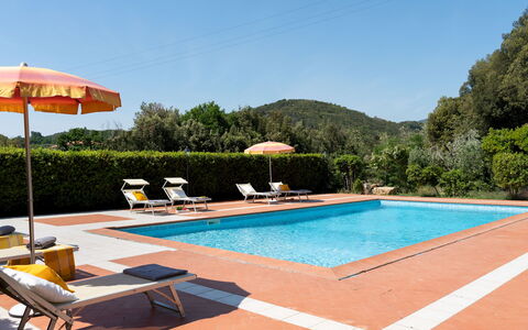 Villa Nikka 6: Piscina, Ricorrere, Eco Hotel, Hacienda, Hotel, Lettino, Terme, Villa