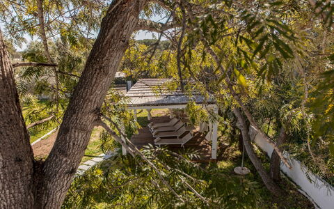 Casa Valentina 6: Ramo, Albero, Foglia, Legna, Vegetazione, Ramoscello, Tronco, Primavera, Woody Impianto, Luce Del Sole