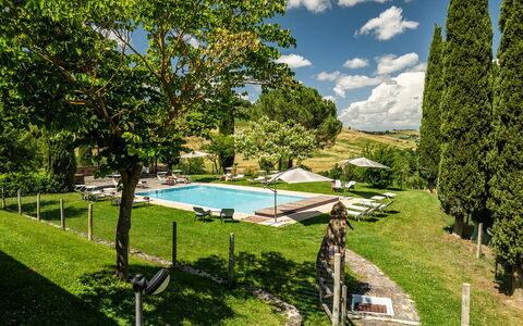Le Colombelline 12: Piscina, Giardino, Tempo Libero, Prato, Estate, Mobili Da Esterno, Lettino, Landscaping, Villa, Parco