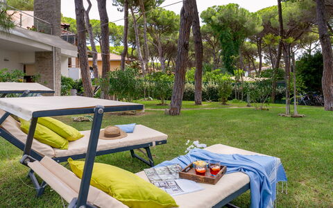 La Villa in Pineta 10: Mobilia, Mobili Da Esterno, Shade, Giardino, Tempo Libero, Prato, Sedia, Lettino, Tavolo Esterno, Cortile