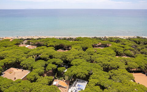 La Villa in Pineta 10: Paesaggio, Costiera E Morfologie Oceanic, Visione Globale, Costa, Mare, Oceano, Fotografia Aerea, Baia, Spiaggia